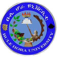 Fetena: Bule hora university .